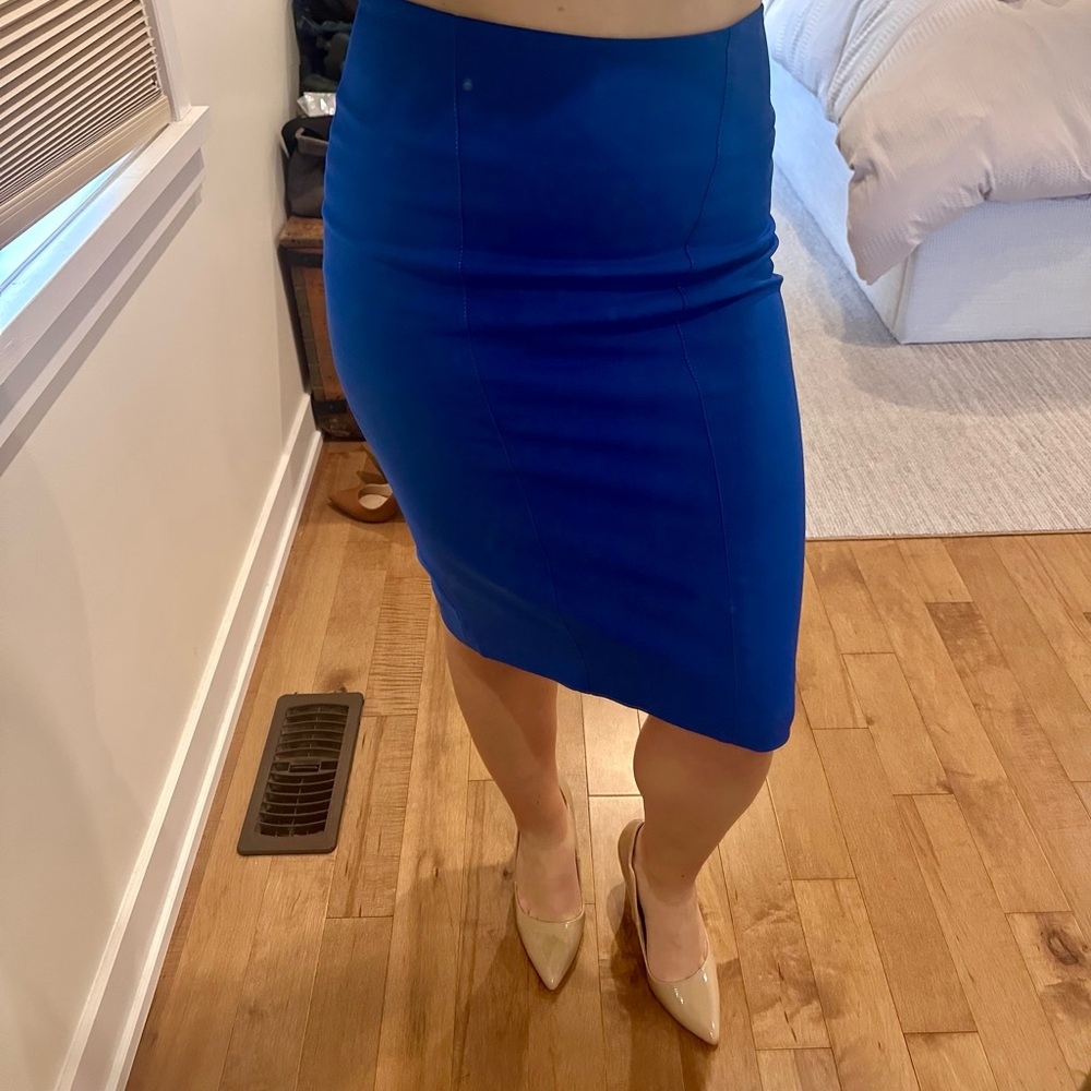 Blue Pencil Skirt